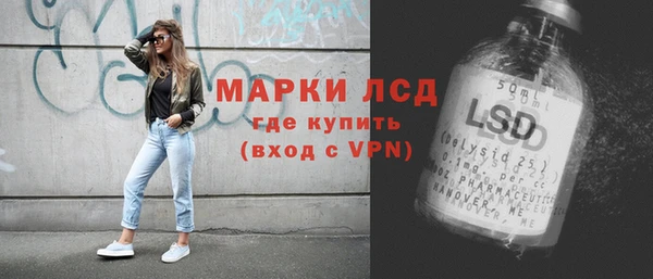 прущие грибы Медногорск