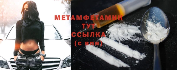 прущие грибы Медногорск