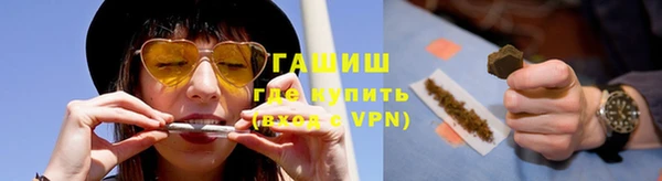 прущие грибы Медногорск