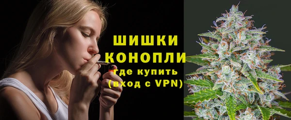 твердый Майский