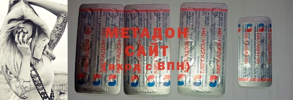прущие грибы Медногорск