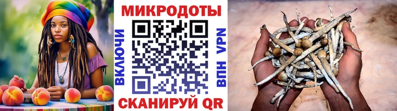 кракен как войти  где продают   Мантурово  Псилоцибиновые грибы ЛСД 
